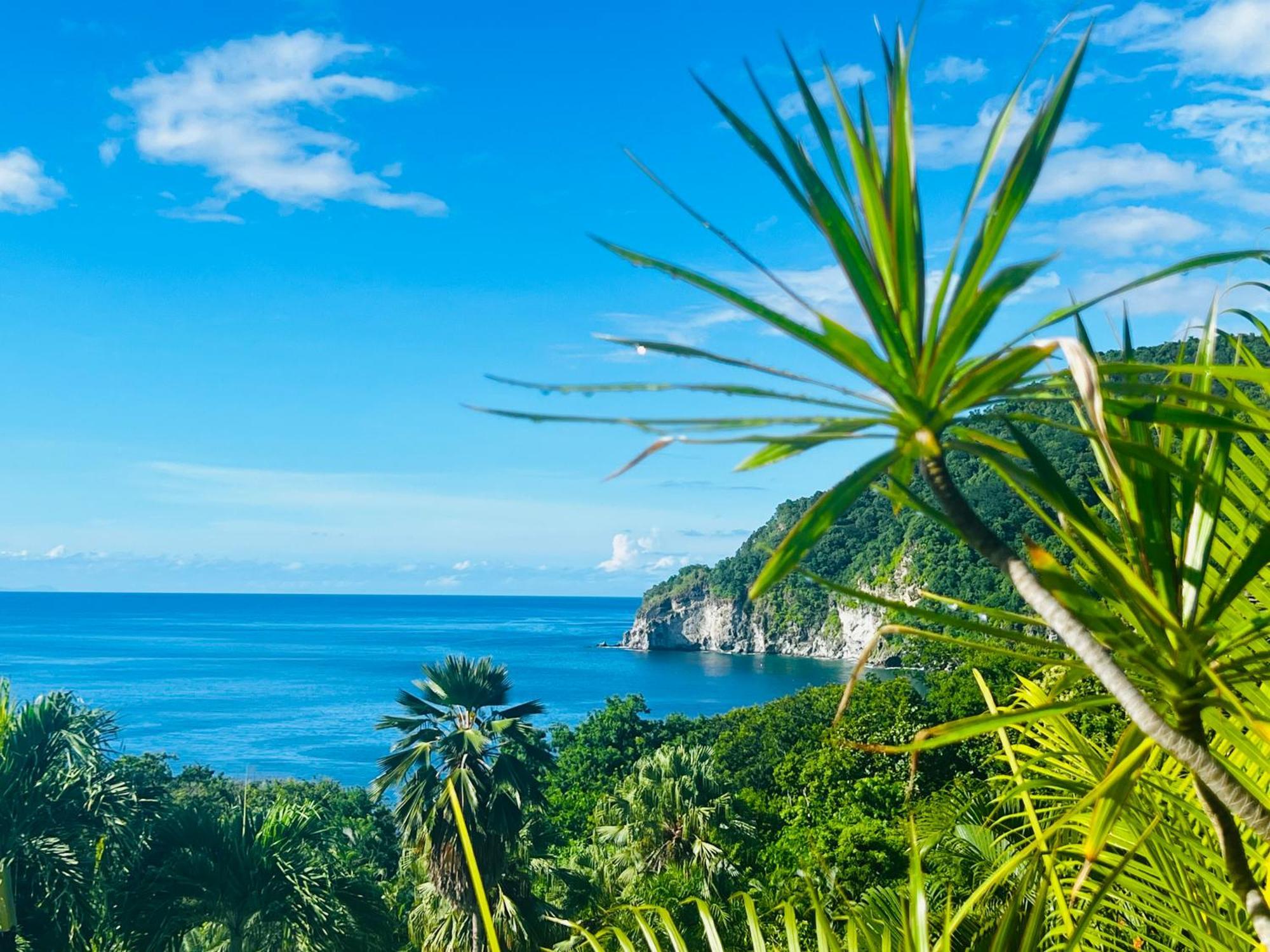Vue Mer/3Beds/Piscine/Wifi/900 Metres De La Plage Deshaies Exterior foto